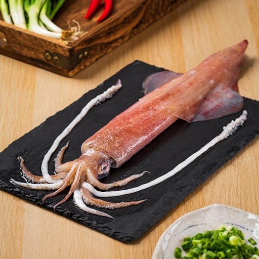 魷魚