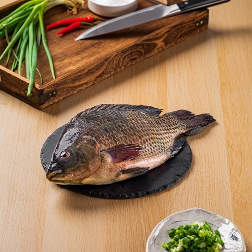 台灣鯛(整尾)