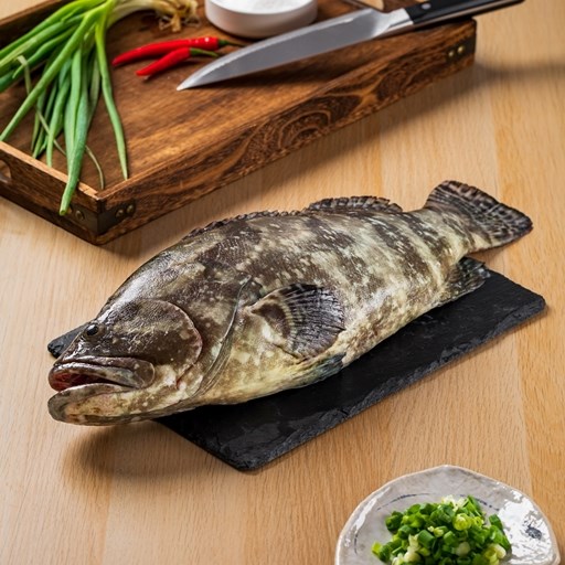 龍虎斑,老虎斑,石斑魚,珍珠龍膽,珍珠斑,珍珠龍躉,Hybrid Grouper,竜虎ハタ,Seafood,fish,OEM
