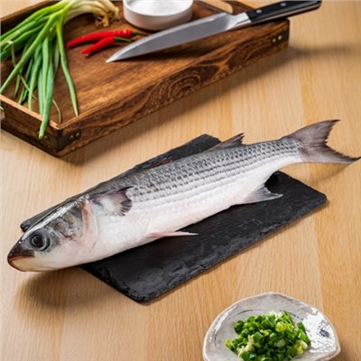 烏魚(整尾)