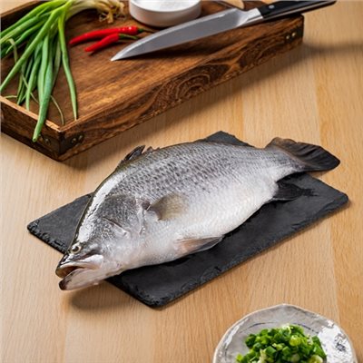 金目鱸魚 (整尾/蝴蝶切)