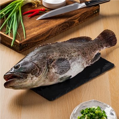 石斑魚(整尾/蝴蝶切)