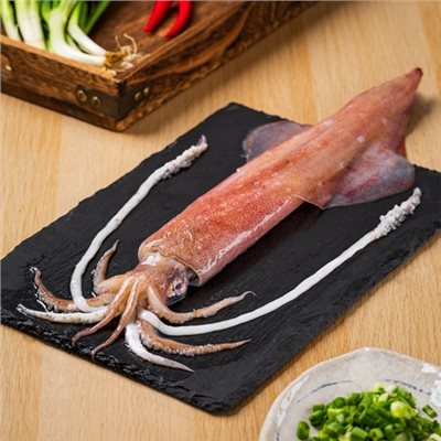 魷魚