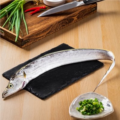 白帶魚(整尾)